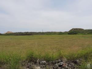 菓葉遺址田野照片