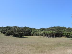 鵝鑾鼻第二遺址田野照片